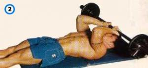 lying curl: lying curl?